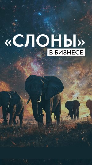 "Слоны" в бизнесе