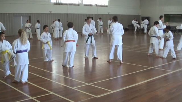 wrka soke kubota 2011 10 30 sess2 03b partner work tori uke mae geri hiza uke jodan chudan tsuki as смотреть онлайн