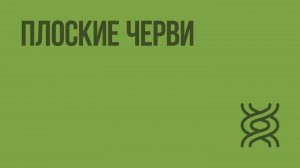 Плоские черви. Видеоурок по биологии 7 класс