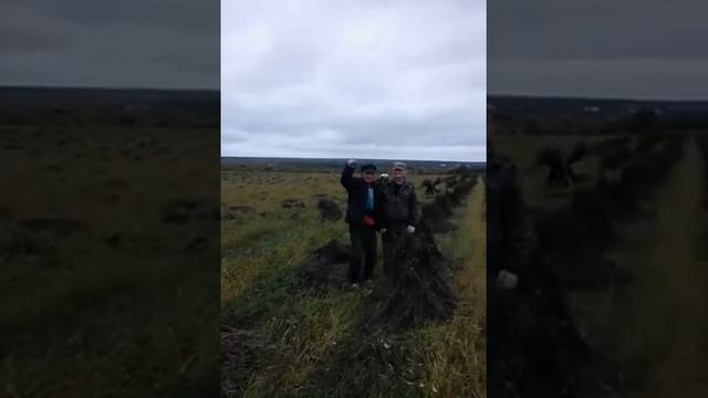 Лён смотреть онлайн