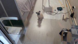 Строю стеллаж для аквариумов или УЗВ. Часть 1