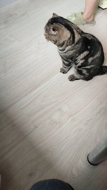 18 июля 2024 г. сможем набрать 10к подписчиков?)) смотреть онлайн