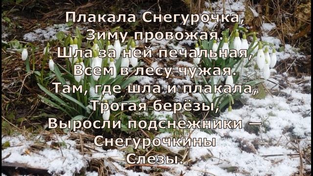 Т  Белозёров  Подснежники #стихиовесне #стихидлядетей #поэты20века