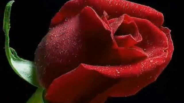 Эннио Морриконе Ветер плачь смотреть онлайн