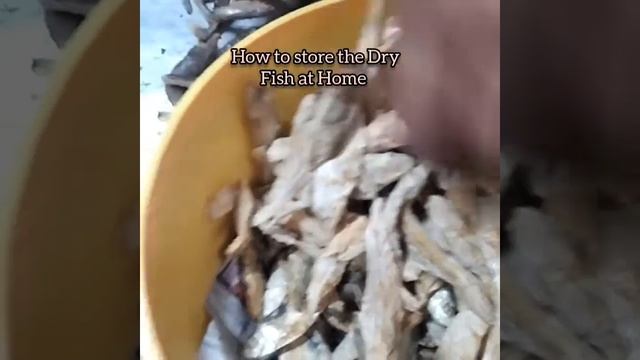 How to store the Dry Fish at Home