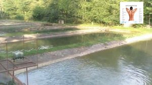 Форелевое хозяйство в Абхазии