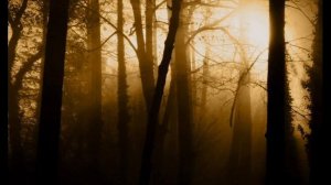 вокализ - в. мурадели