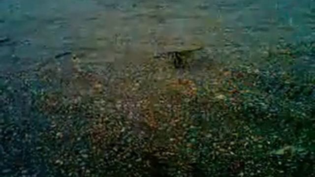 Колымское лето 2013 смотреть онлайн