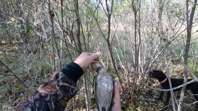 Вальдшнеп и Яхонт смотреть онлайн