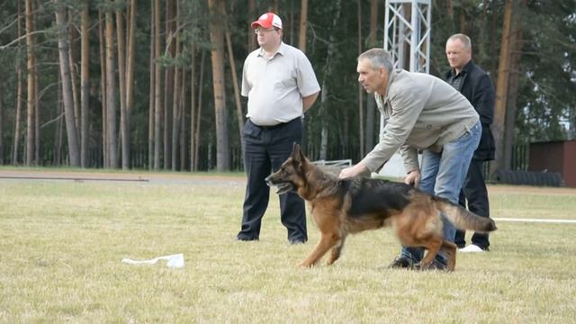 № 102 АНТЕНОР ХОФ УМА ТУРМАН смотреть онлайн