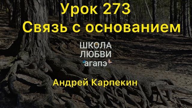 273. Связь с основанием. Школа Любви Агапэ.