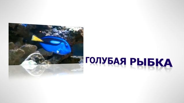 Отражение 3 д смотреть онлайн