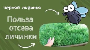 Зоогумус львинки в здоровье!