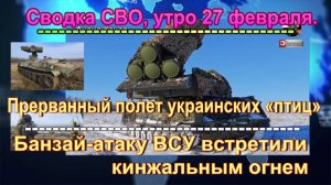 Сводка СВО, утро 27 февраля. На юге ДНР нацики стоят у расстрельной стенки