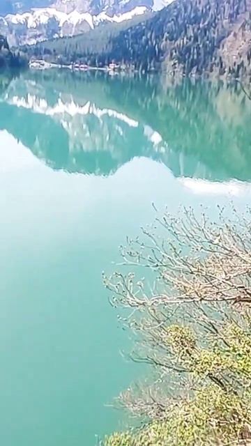 Озеро Рица. 900 м над уровнем моря. Абхазия #2024 #travel #озерорица #абхазия #агой #nature