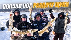 Рыбалка на ЖЕРЛИЦЫ в затопленном ЛЕСУ на ЩУКУ