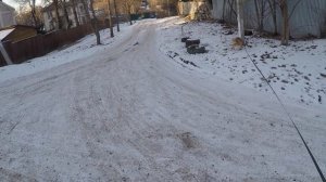 Прогулка с Витой на улице.