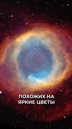 📍С помощью современных телескопов получено изображение «букета из тысяч цветущих звезд» #новости