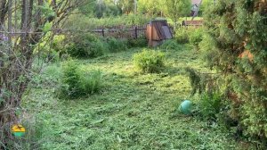 ДЕРЕВНЯ В ГЛУБИНЕ ЯРОСЛАВСКОЙ ОБЛАСТИ, РОССИЯ, МАЙ 2021