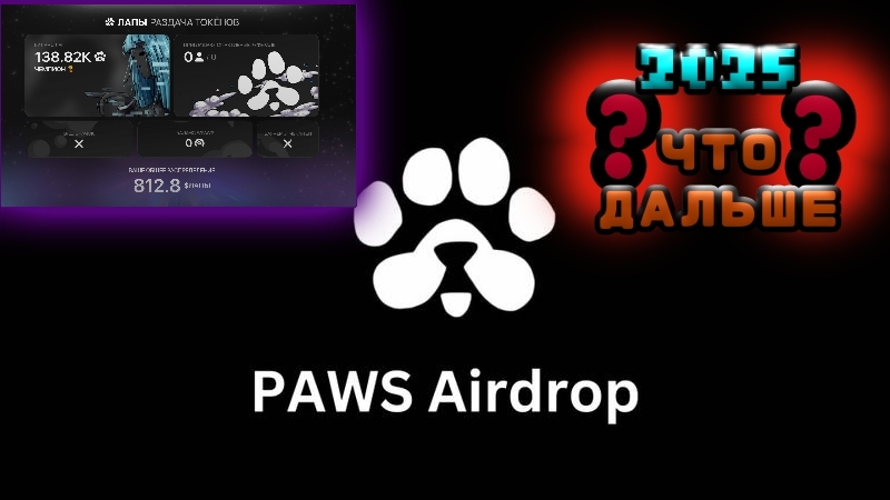 Paws 2025. Что стало? Инструкция как использовать приложение. Показываю сколько лап я получил