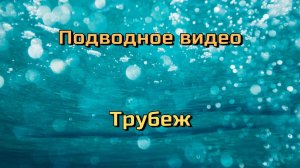 Подводное видео Трубеж