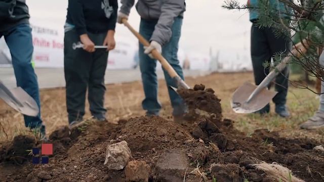 Аллея Памяти в честь 75-летия ВОВ смотреть онлайн