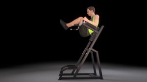 DHZ Fitness Evost II - A3047 Vertical Knees Up _ Dip