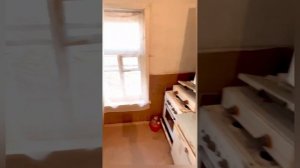 Оредеж, Новосиверская, продажа участка