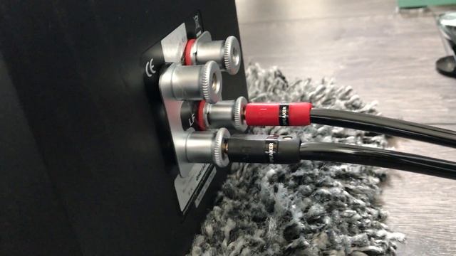 Unison Research Simply Italy + Quad S2 + Audioquest BigSur/Rocket33