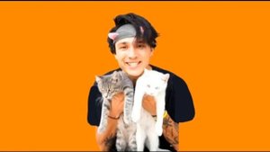 Holy Baam -песня про котят(мини слив) @HolyBaam