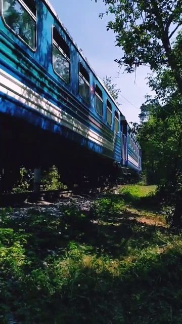 Фирменный поезд на Детской железной дороге в Кратово (ДЖД) смотреть онлайн