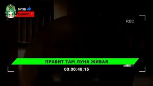 Песня Клип SCP ЛУНА ХУЛИГАН И ФРИКАДЕЛЬКА Meatball // RASA ПЧЕЛОВОД ПАРОДИЯ