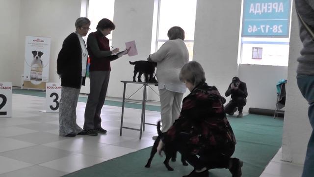 00000 гриф смотреть онлайн