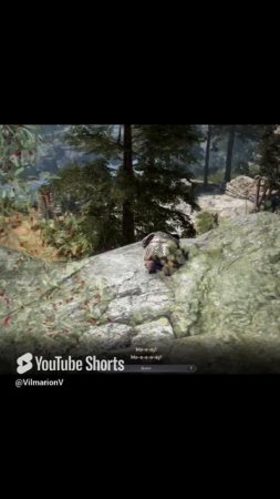Когда ты брутальный мужик,но МЯУ😸🤣#vilmarionv #bdo #blackdesertonline #mmorpg #игры #gaming #games