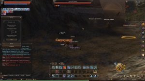 [Lineage 2 Essence] Топ фармер среди камаэлей