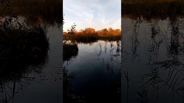 Водяной. Подношения и благодарность обитателю озера.