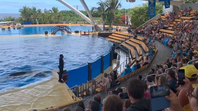 27 октября 2019 г. смотреть онлайн