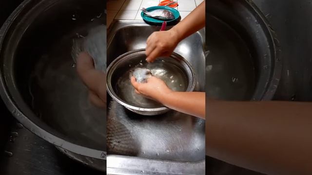 Performance Task , Fish Processing ( Scaling, Cutting of Fins and Tails, Eviscerating) смотреть онлайн