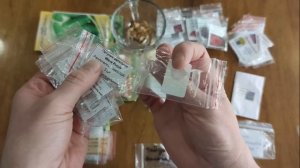 ОБЗОР СЕМЯН НА СЕЗОН 2024