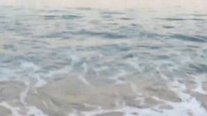 футаж море 2020