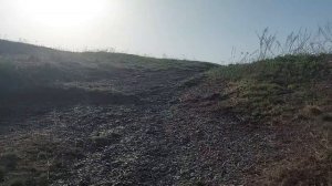 Природа Донецкого кряжа / Весна 2024