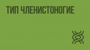 Тип Членистоногие. Видеоурок по биологии 7 класс