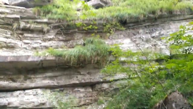 Водопад Куаго смотреть онлайн