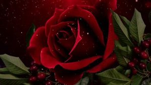 "Холодная весна"