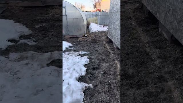 Доброе утро❤️ смотреть онлайн