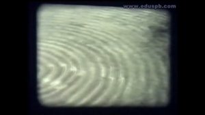 Поперечные и продольные волны