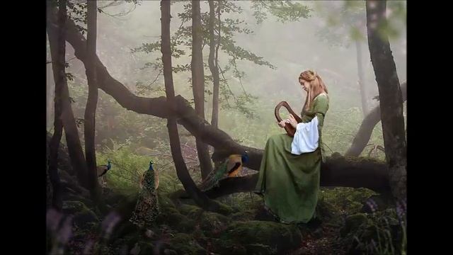 музыка леса смотреть онлайн