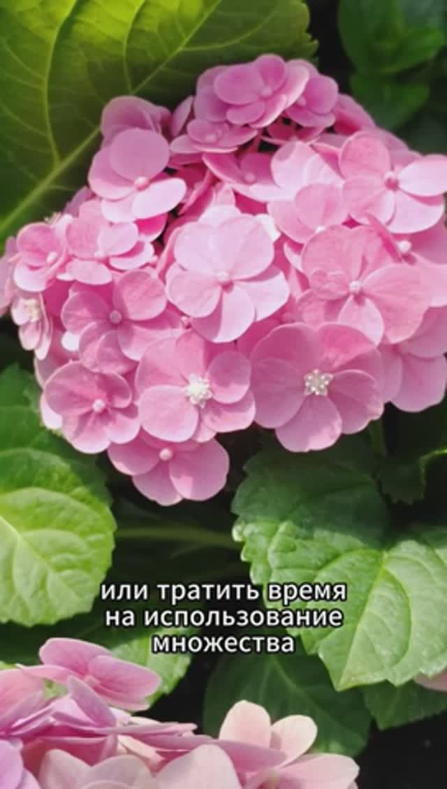 Наноудобрение для комнатных растений, рассады и теплиц #удобрение #комнатныерастения