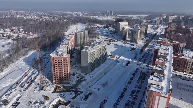 Династия