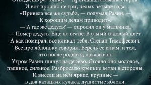 Разинка - Сергей Алексеев (100 рассказов из русской истории)